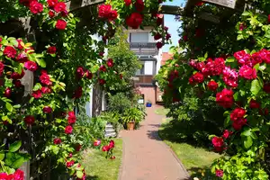 Ihr neues Zuhause in Wesenberg: Wo das Leben Urlaub macht +FeWo - Scheune...  Enorme Nutzfläche – Mecklenburg-Strelitz (Kreis) – Vorschaubild 1