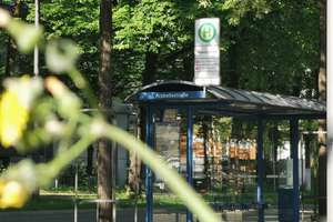 Property thumbnail 15