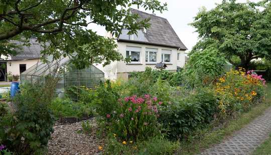 Bild von Haus mit Einliegerwohnung voll unterkellert in Wesendorf