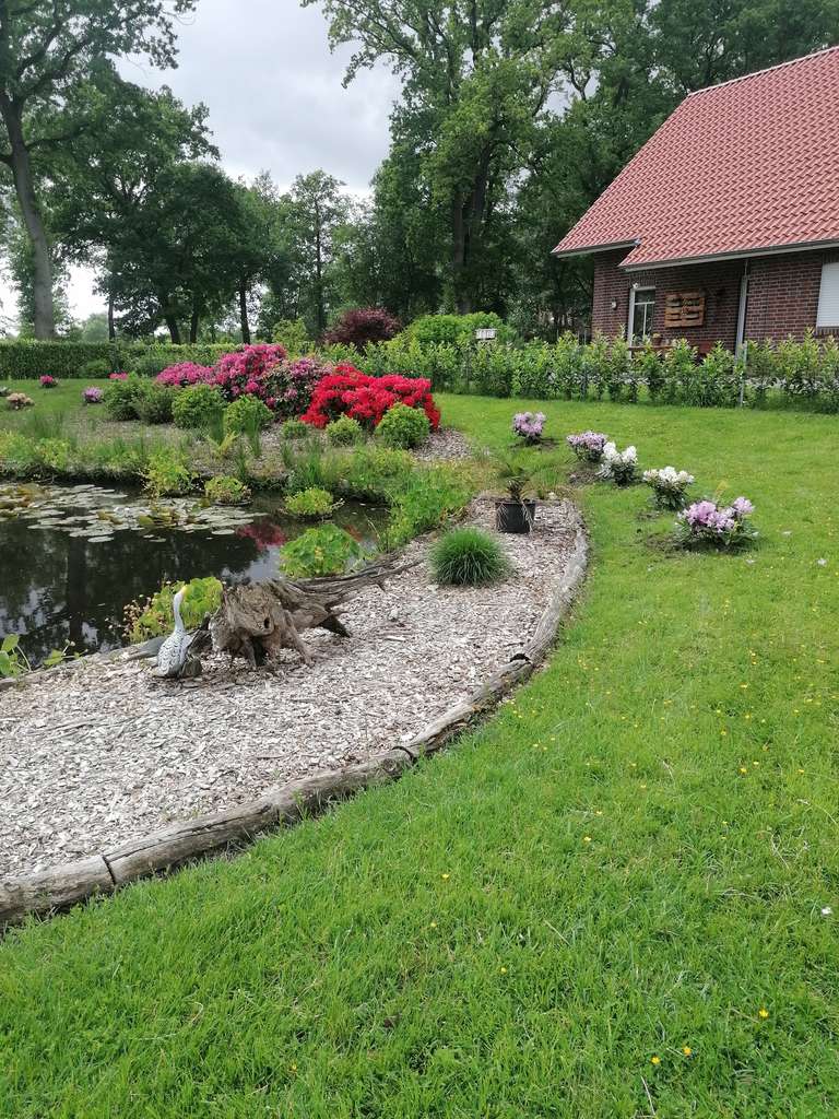 Immobilie in Barßel - Fehnhaus in idyllischer Kanallage auf 6.200m² Grundstück  - Bild 3