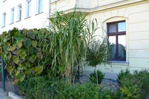 Ein Grundriss, der überzeugt. – Wolfenbütteler Straße 24, 39112 Sudenburg, Magdeburg – Vorschaubild 1