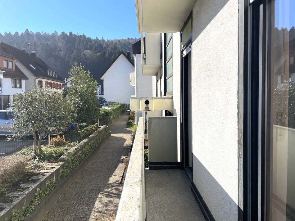 Hauszugang  + kleiner Balkon