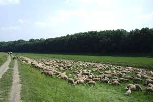 Property thumbnail 20