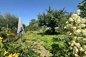 EFH mit Ausbaureserve in Vogelsdorf – Märkisch-Oderland (Kreis) – Vorschaubild 27