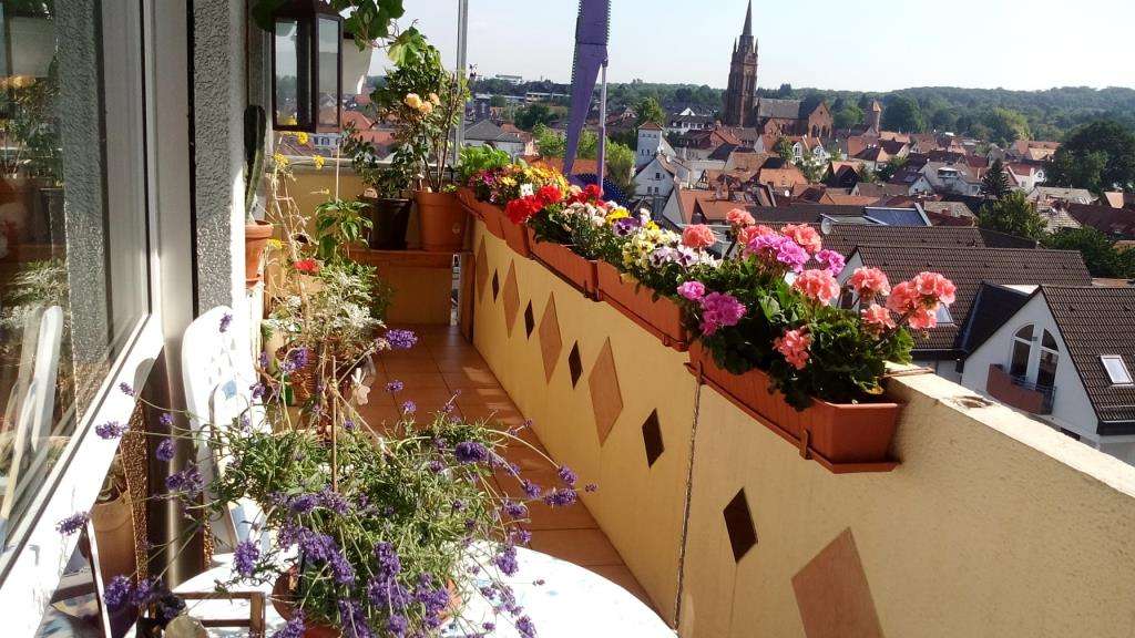 Immobilie in Langen - Wohnen mit Fernblick - Vermietet! Perfekt für Kapitalanleger in Langen! - Bild 0