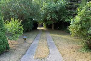 Reihenhaus mit parkähnlichem Garten und Carport in der Südstadt Braunschweigs – Sandgrubenweg 60, 38126 Südstadt-Rautheim-Mascherode, Braunschweig – Vorschaubild 4