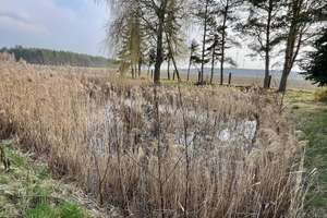 Tierliebhaber aufgepasst – Die vollständige Adresse der Immobilie erhältst du vom Anbieter., 4924 Uebigau-Wahrenbrück – Vorschaubild 13