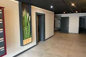 Moderne 2-Zimmer-Wohnung mit Terrasse & Garten in Frankreich/Grosbliedestroff