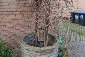 Erstaunlich großes Anwesen mit idyllischen Garten für die ganze Familie – Nordsachsen (Kreis) – Vorschaubild 24