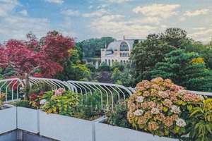 Exklusive Penthouse-Eigentumswohnung  mit großzügiger Dachterrasse und unverbaubarem Blick auf Flora – Die vollständige Adresse der Immobilie erhältst du vom Anbieter., 50735 Riehl, Köln – Vorschaubild 4