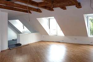 Originelle helle Loft Dachwohnung Uninähe. Nach KfW Standart Saniert