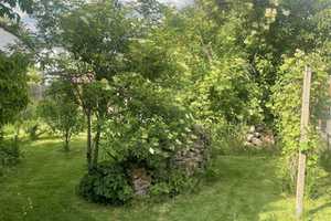 Besondere Immobilie mit großem Garten – Main-Kinzig-Kreis – Vorschaubild 3