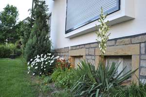 1-3 Fam. Haus ca 360 qm in WILLEBADESSEN zwischen HÖXTER+PADERBORN+NEBENGEBÄUDE +1000 qm GRUNDSTÜCK – Die vollständige Adresse der Immobilie erhältst du vom Anbieter., 34439 Willebadessen – Vorschaubild 149