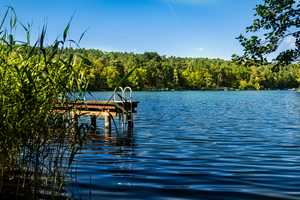Finnisches Blockhaus + Direkt am See + Privater Steg mit Boot + Sauna – Barnim (Kreis) – Vorschaubild 3