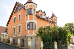 Schlossartiges MFH/Mehrgenerationenhaus, gehoben und attraktive Rendite – Die vollständige Adresse der Immobilie erhältst du vom Anbieter., 91220 Schnaittach – Vorschaubild 1