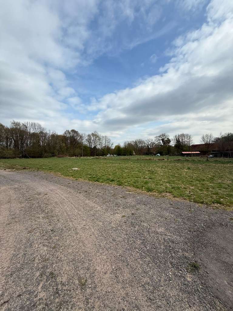 Immobilie in Hohne - Mit Grundstück, ein Zuhause das überzeugt in Helmerkamp. - Bild 2