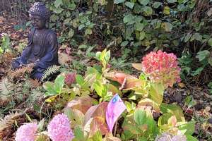 Property thumbnail 27