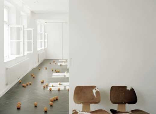 Sonne! Unkonventionelle Altbauwohnung - 124 m² - 2 Balkone - 3.OG mit Lift