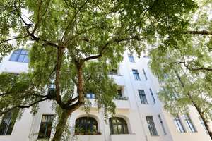 SPREE-LAGE, HELL & GROSSZÜGIG - DIELEN & STUCK - ZUR ZEIT VERMIETET – Tegeler Weg 97 tt, 10589 Charlottenburg, Berlin – Vorschaubild 5