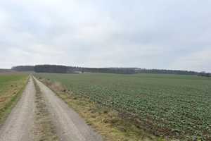 10 ha Anwesen mit großem Haus und Gewerbehalle – Nordsachsen (Kreis) – Vorschaubild 14