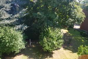 Schöne 2-Raum-Wohnung in Bochum  – Nordring 41, 44787 Gleisdreieck, Bochum – Vorschaubild 3