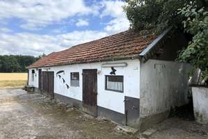 DREI AUF EINEN STREICH! Einfamilienhaus + Ackerland + Bauland in Goch-Nierswalde – Die vollständige Adresse der Immobilie erhältst du vom Anbieter., 47574 Goch – Vorschaubild 5