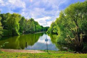 Property thumbnail 19