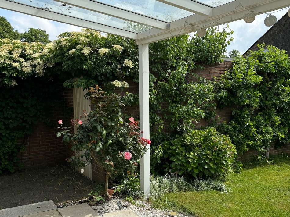 Terrasse mit Überdachung