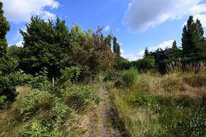 Doppelhaushälfte mit großem Garten und viel Sanierungspotenzial – Meiereistr. 11, 6847 Alten, Dessau-Roßlau – Vorschaubild 10