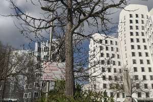 Sanierungsbedürftig und leerstehend 
4-Zimmerwohnung im Hafen.