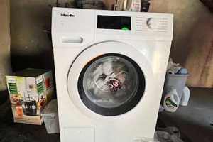 Property thumbnail 14