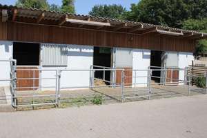 Charmanter Reiterhof auf 1,2 ha zu verkaufen – Die vollständige Adresse der Immobilie erhältst du vom Anbieter., 44388 Bövinghausen, Dortmund – Vorschaubild 6
