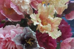 Property thumbnail 48