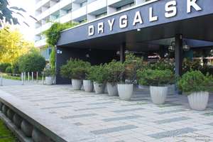 Alpenblick, 2-Zi., ruhige Lage, München-SOLLN mit Top-Schwimmbad, Keller und Stellplatz (optional) – Drygalskiallee 118, 81477 Graggenau, München – Vorschaubild 30