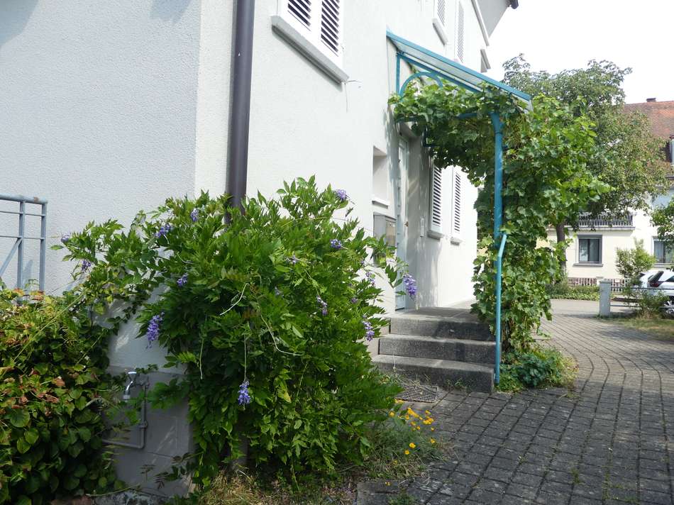Eingangsbereich