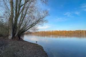 Wohnambiente und Natur - 
Stilvolles Reihenhaus am Uettelsheimer See – Die vollständige Adresse der Immobilie erhältst du vom Anbieter., 47199 Hochheide, Duisburg – Vorschaubild 29