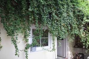 Viel Platz für Wohnen, Homeoffice, Freizeit – Die vollständige Adresse der Immobilie erhältst du vom Anbieter., 86510 Ried – Vorschaubild 18