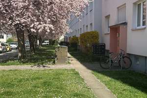 Hübsche 3-Raum-Wohnung sucht neue Mieter! – Schlottwitzer Str. 3 b, 1277 Tolkewitz/Seidnitz-Nord, Dresden – Vorschaubild 3