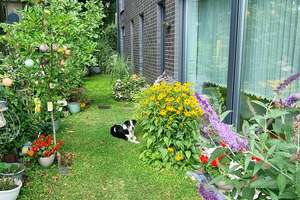 Erdgeschosswohnung mit Garten und Terrasse in traumhafter, naturnaher Wohnlage – Die vollständige Adresse der Immobilie erhältst du vom Anbieter., 45739 Oer-Erkenschwick – Vorschaubild 16