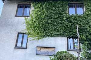 Seminarhaus mit traumhaften Belchenblick: 2-Familienhaus mit grossem Garten in Elbenschwand – Elbenschwander Ortsstraße 9, 79692 Lörrach (Kreis) – Vorschaubild 64