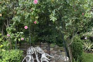 Direkt vom Eigentümer: Stilvolles  Wohnhaus mit mediterranem  Garten – Die vollständige Adresse der Immobilie erhältst du vom Anbieter., 22041 Marienthal, Hamburg – Vorschaubild 12