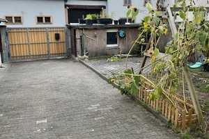 Charmantes Zuhause in Oppau – Ludwigshafen am Rhein – Vorschaubild 6