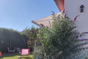 Luxuriöser, freistehender Bungalow mit Garten und zwei Garagen in beliebter Wohnlage zu verkaufen – Rhein-Pfalz-Kreis – Vorschaubild 34