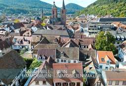 Luftaufnahme / Umgebung