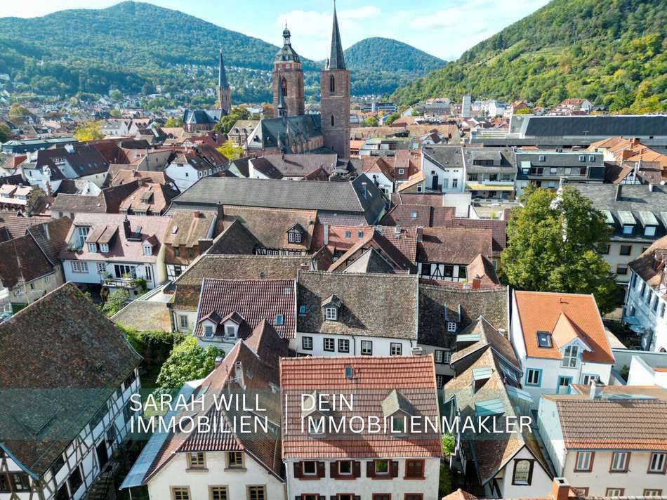 Luftaufnahme / Umgebung