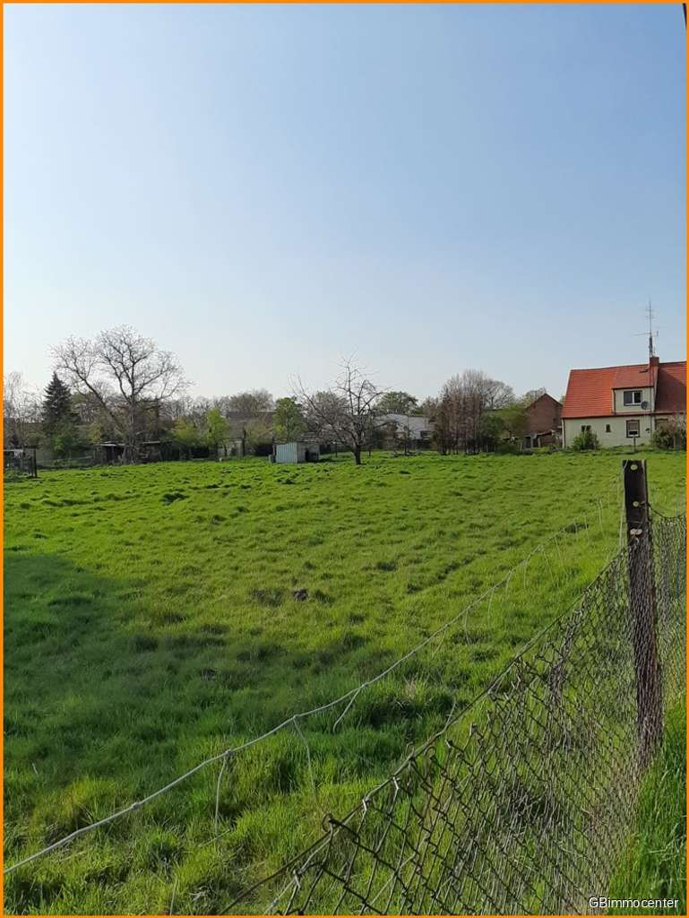 Immobilie in Zörbig - Kleiner Bungalow mit IHREN IDEEN und in Zahnabau QUALITÄT - endlich. - Bild 0