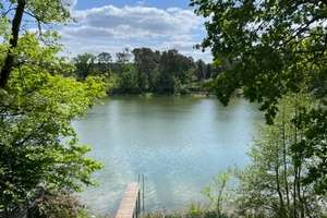 Großzügiges Haus im Grünen direkt am Elsensee zu vermieten! – Die vollständige Adresse der Immobilie erhältst du vom Anbieter., 15537 Grünheide (Mark) – Vorschaubild 4