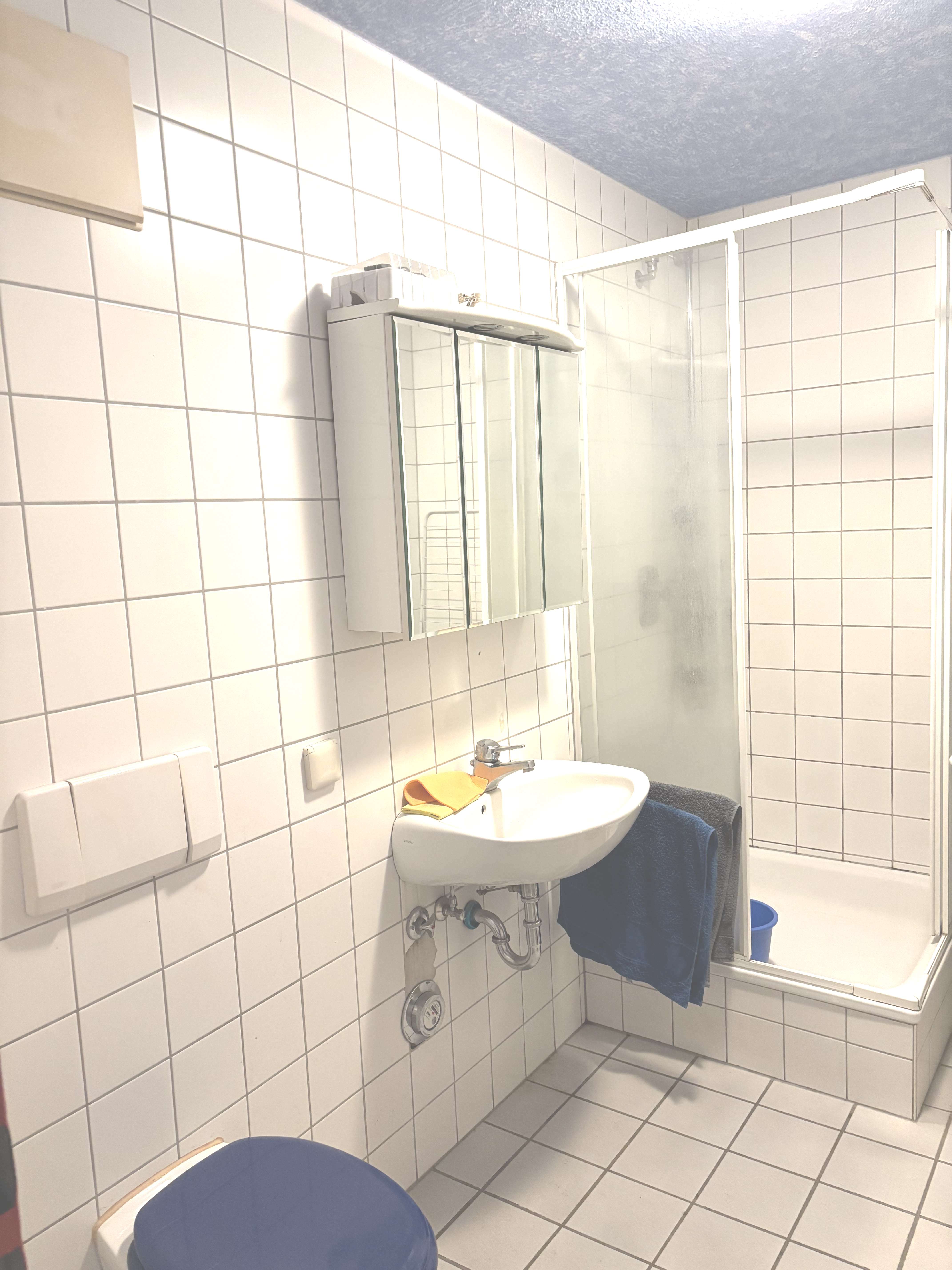 Immobilie in Kirchentellinsfurt - Schöne, helle 2 Zi Wohnung in ruhiger Lage mit guter Anbindung nach Tübingen - Bild 3