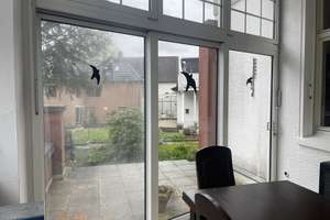 4 Zimmer Erdgeschoss -ETW  in Solingen  mit Wintergarten  und Terrasse in einer Villa – Die vollständige Adresse der Immobilie erhältst du vom Anbieter., 42651 Solingen-Mitte, Solingen – Vorschaubild 11