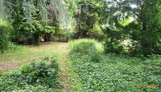 Bild von + Leben in beliebter Lage Darmstadt-Arheilgen mit großem Gartenparadies - Freistehend mit Garagen +
